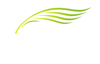 aerium logo
