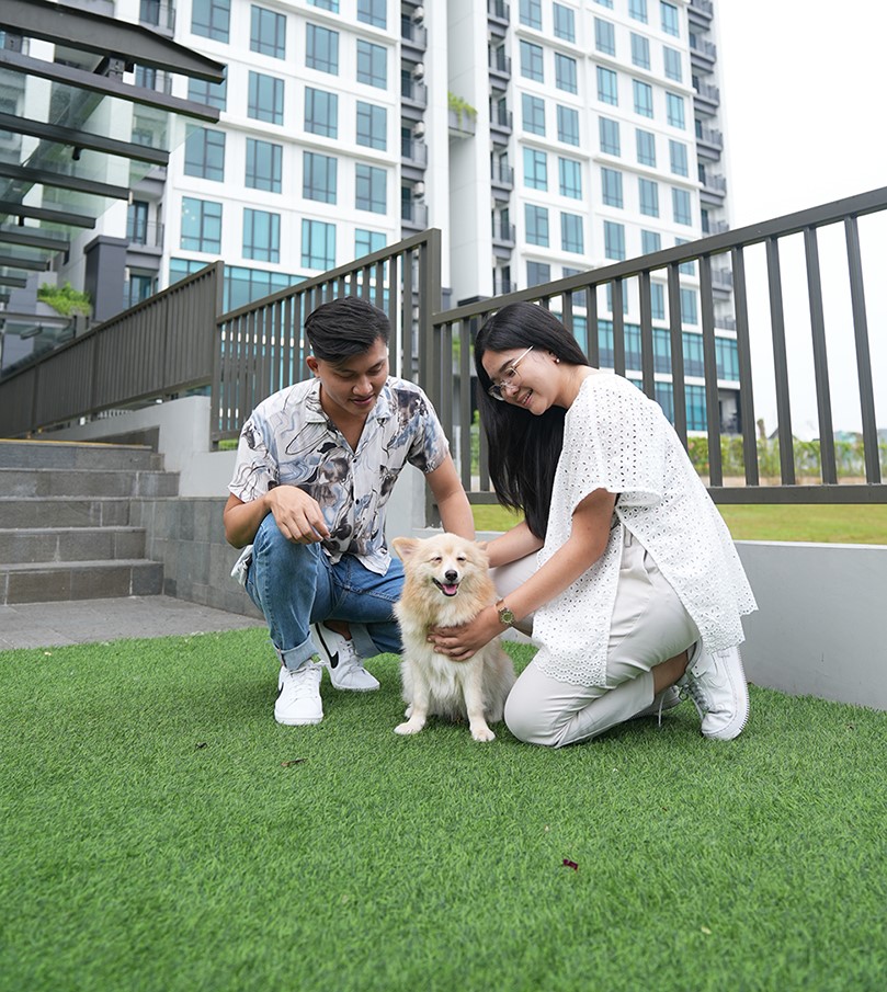 surroundings_social_dog_3